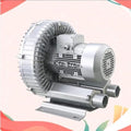 High-Pressure Vortex Blower 110V 50Hz, 250W Industrial Vacuum Pump, Regenerative Blower for Air Blowing, Single Phase Vortex Ring Pump, Efficient Performance