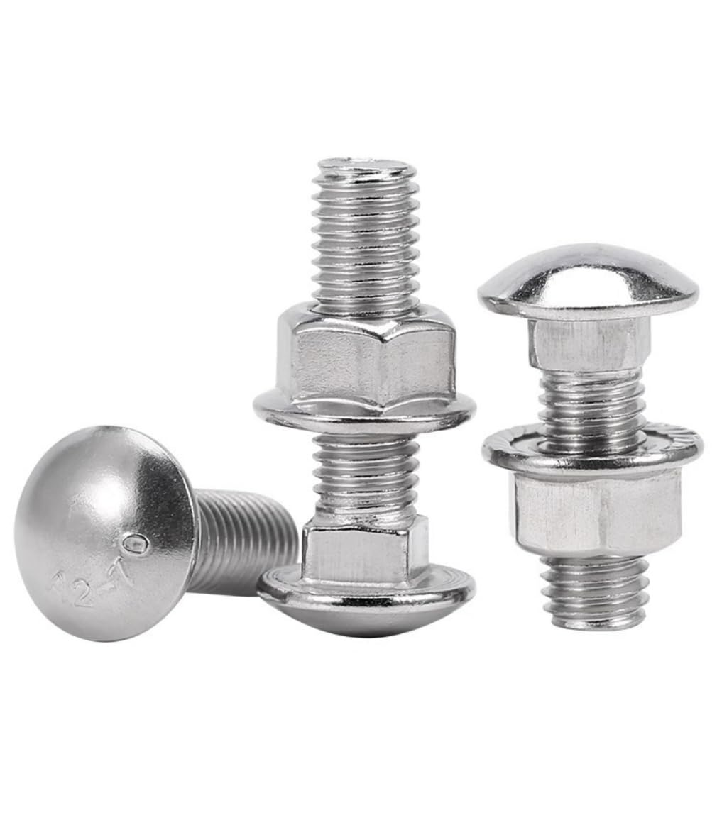 Stainless Steel Carriage Bolts Screws Round Head Square Neck and Hex Flange Nuts,304 Stainless Steel 18-8 Full Thread,M10x30(100sets)