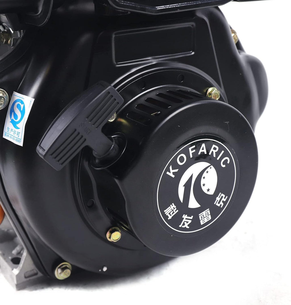 Diesel Engine 247CC 4 Stroke 5HP Single Cylinder Air Cooling Vertical Engine Motor Hand Start Direct Injection 3.6KW (Black, 173FA)