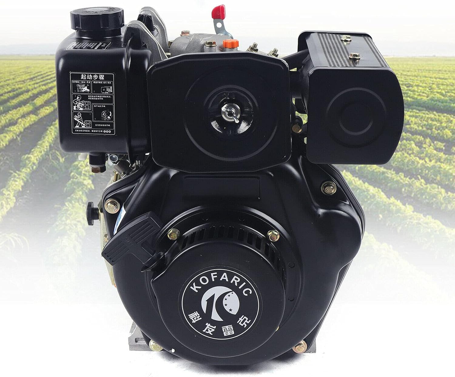 Diesel Engine 247CC 4 Stroke 5HP Single Cylinder Air Cooling Vertical Engine Motor Hand Start Direct Injection 3.6KW (Black, 173FA)