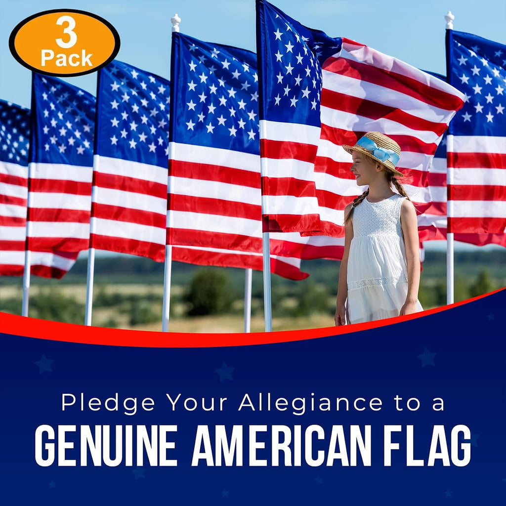 American Flags for Outside 3X5 (Pack of 3) - 3x5 Flag with Embroidered Stars and Sewn Stripes, Heavy Duty, All Weather, Made in USA for High Wind