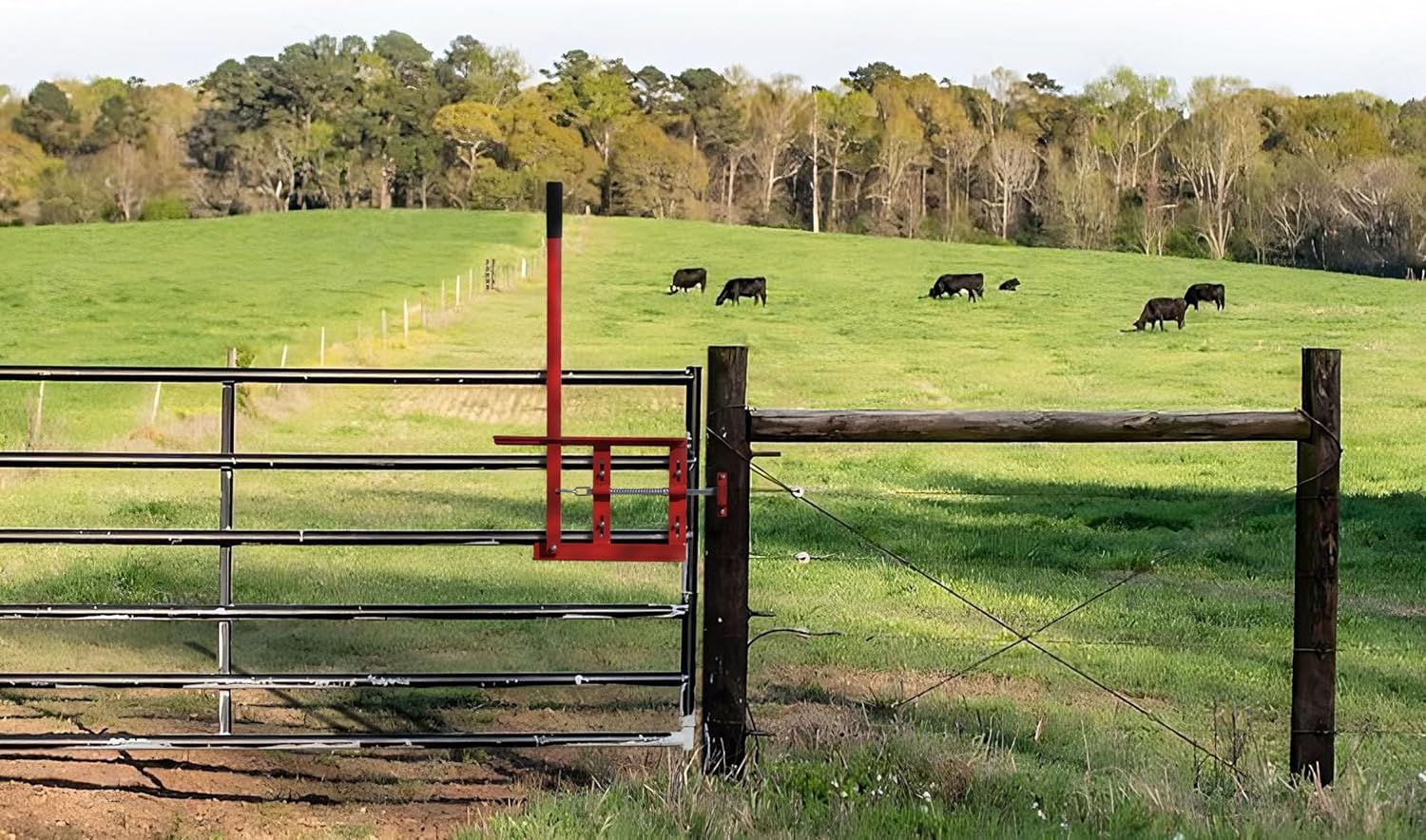 Cowboy Gate Latch