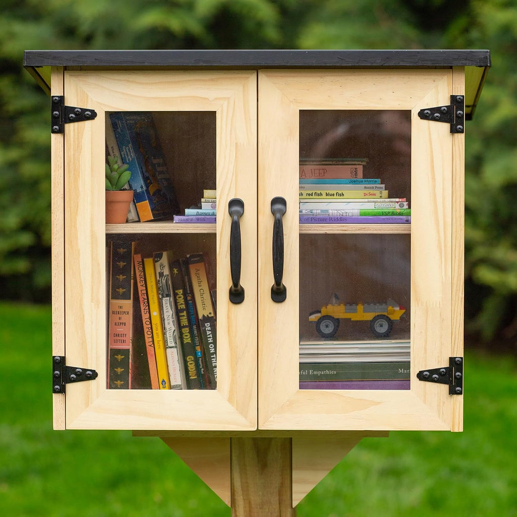 Ilyapa Outdoor Library Book Box - Free Literature Exchange Kit for Outside - Little Wood Cabinet for Sharing Books and Arts - 20x14x19 Inch